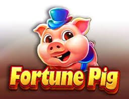 23 apk